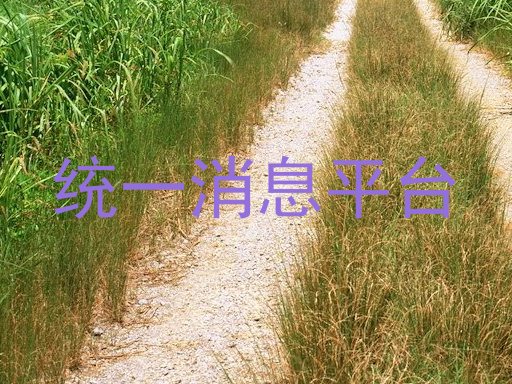 统一消息平台