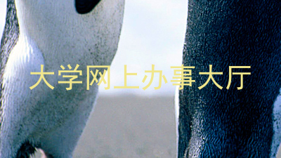 大学网上办事大厅