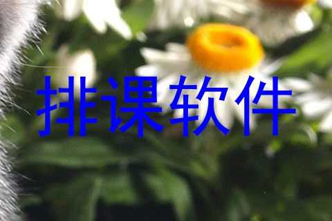 排课软件