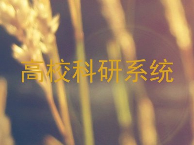 高校科研系统