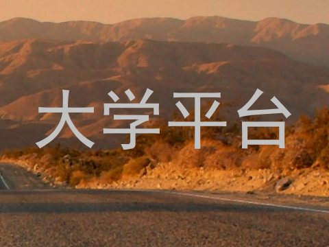 大学平台