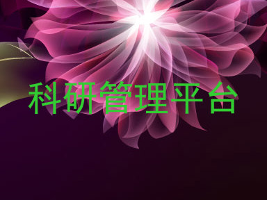 科研管理平台