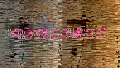 师生网上办事大厅