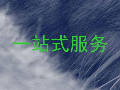 一站式服务