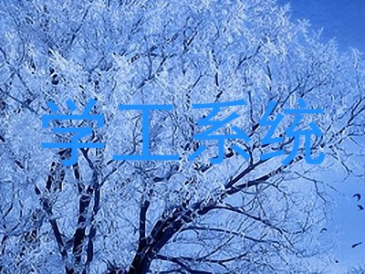 学工系统
