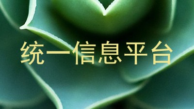 统一信息平台
