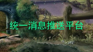 统一消息推送平台