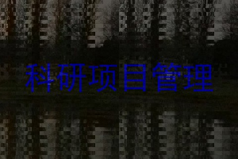 科研项目管理