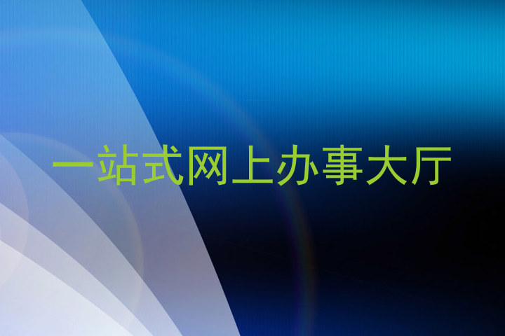 一站式网上办事大厅