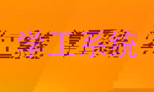 学工系统