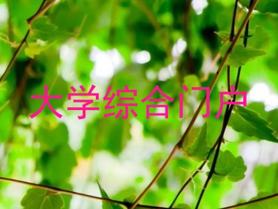 大学综合门户