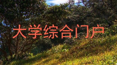 大学综合门户