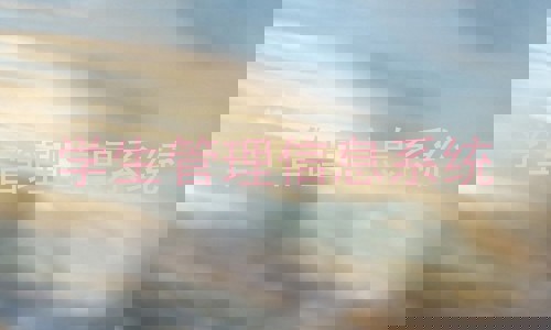 学生管理信息系统