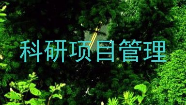 科研项目管理