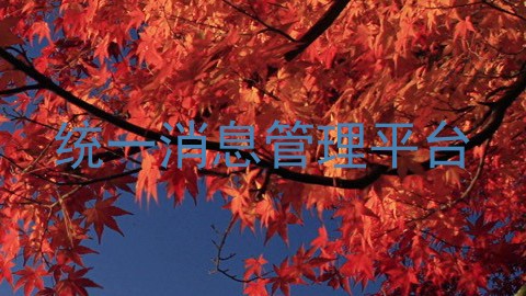 统一消息管理平台