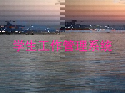 学生工作管理系统