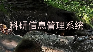 科研信息管理系统