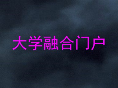 大学融合门户