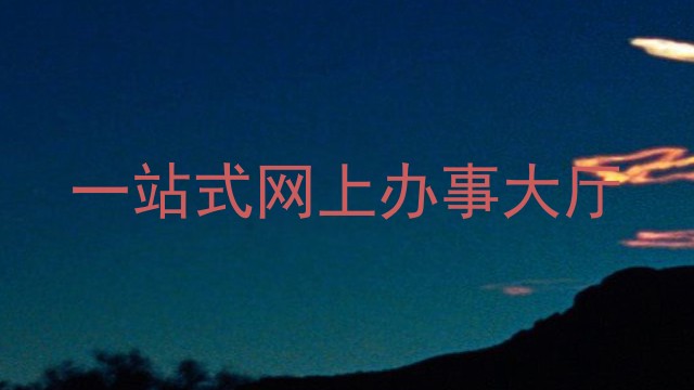 一站式网上办事大厅