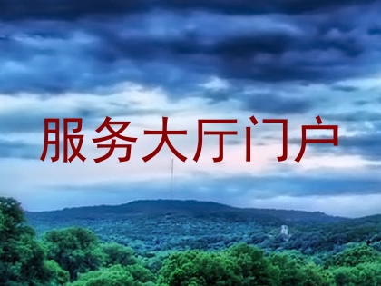 服务大厅门户