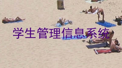 学生管理信息系统