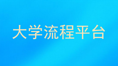 大学流程平台