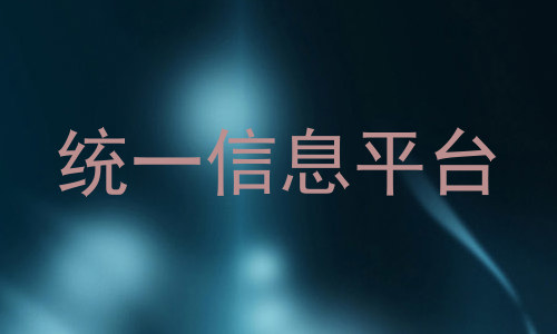 统一信息平台