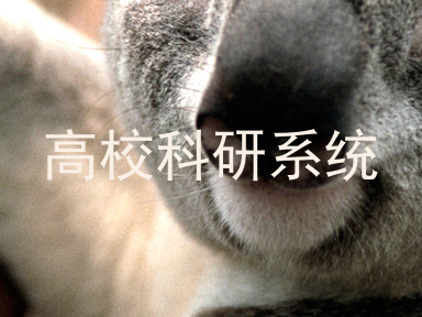 高校科研系统