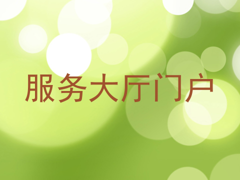 服务大厅门户