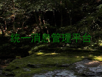 统一消息管理平台