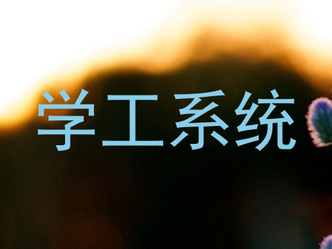 学工系统
