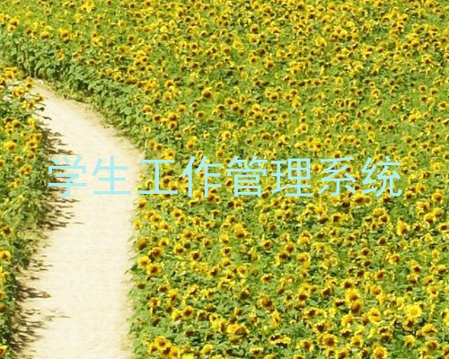 学生工作管理系统
