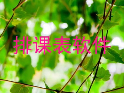 排课表软件