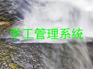 学工管理系统