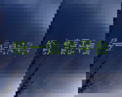统一信息平台
