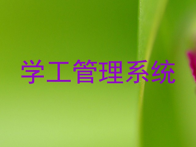 学工管理系统