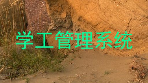 学工管理系统