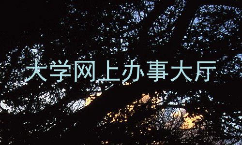 大学网上办事大厅