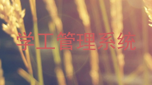 学工管理系统