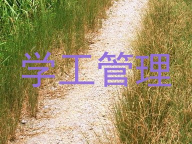 学工管理