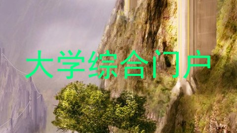 大学综合门户
