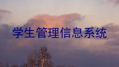 学生管理信息系统