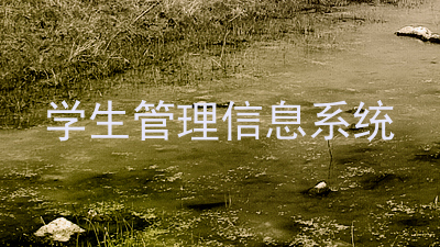 学生管理信息系统