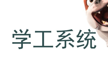 学工系统