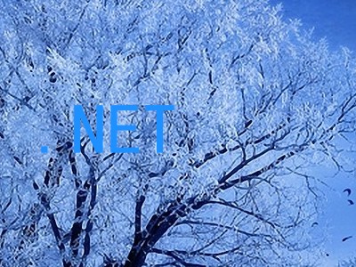 .NET