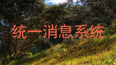 统一消息系统