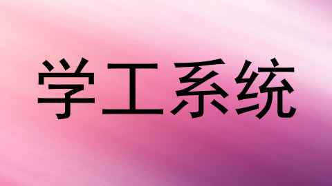 学工系统