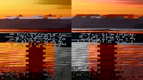 高校科研管理系统