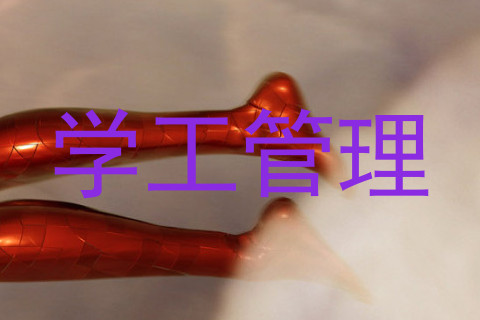 学工管理