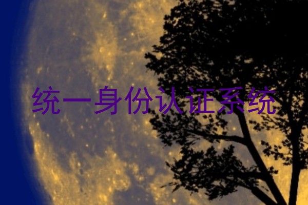 统一身份认证系统